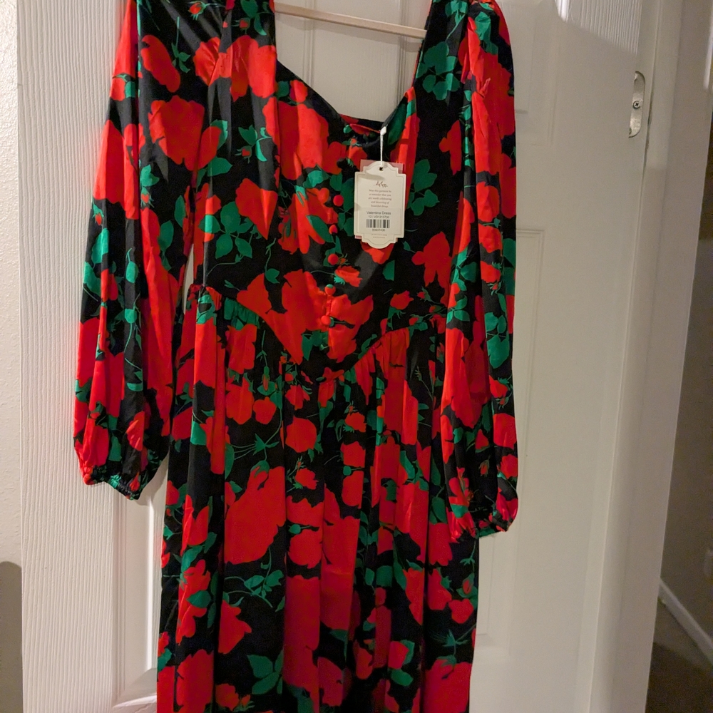 Ivy City Valentina floral Red and Green Dress